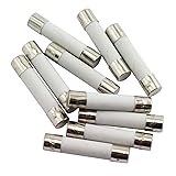 Tegg 10PCS 20A Slow-Blow Time Delay Ceramic Fuses