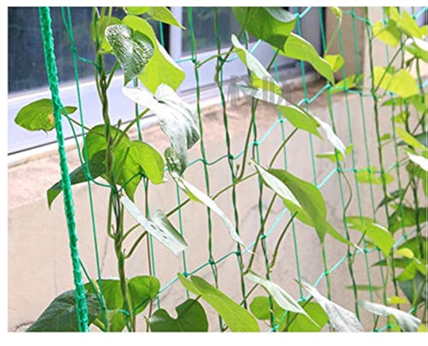 90cm*180cm Pea Bean Cucumber Climbing Frame Net Plant Climber net Garden Netting Support