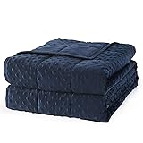 Mr. Sandman Weighted Blanket for Adults, Minky