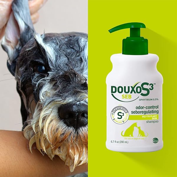 DOUXO S3 SEB SHAMPOO, CONTAINS 0.5% OPHYTRIUM, ODOR CONTROL & SEBOREGULATING, FOR OILY TO FLAKY SKIN, SEBORRHEA, FOR DOGS AND CATS, 16.9 FL. OZ. (500ML)