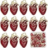 SUNNYCLUE 1 Box 30Pcs Human Heart Charm Anatomical Heart Charms Bulk Enamel Organ 3D Punk Gothic Pendants for Jewelry Making Findings DIY Necklaces Bracelets Keychains Halloween Adults Crafts