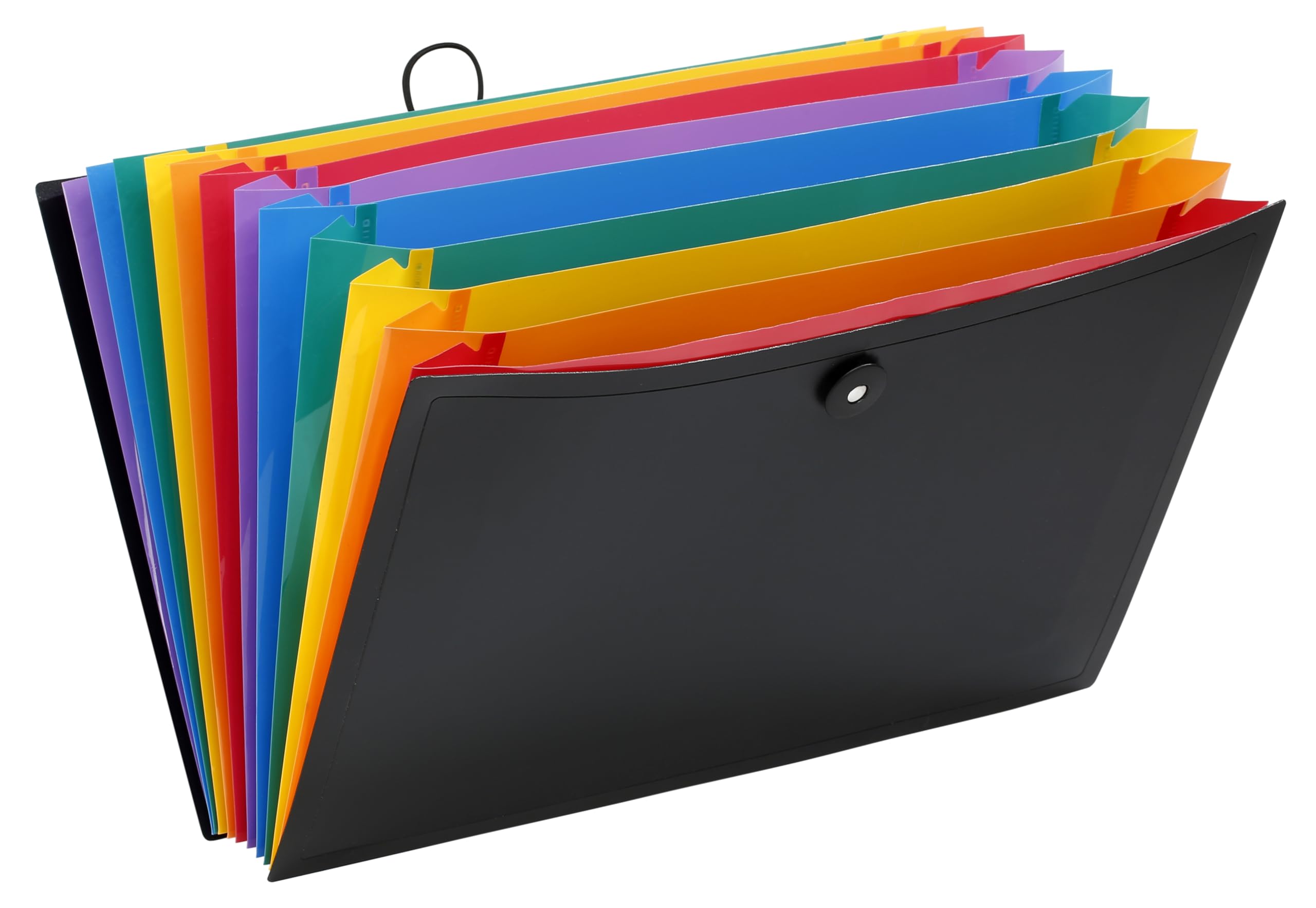 Viquel Rainbow Class 12 Position Polypropylene File