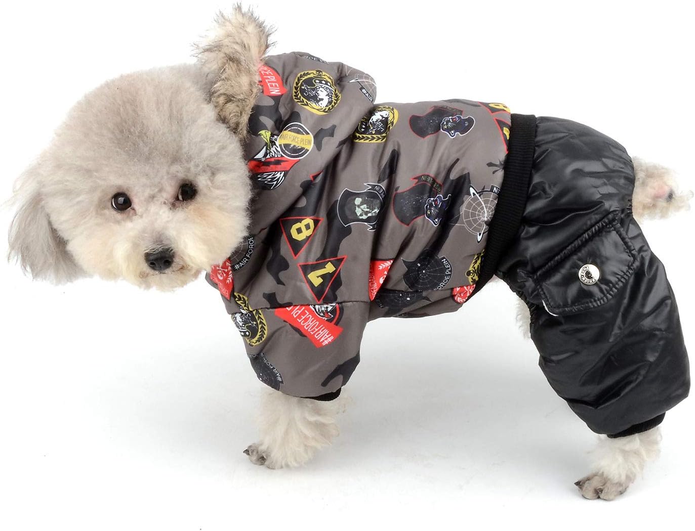 chihuahua parka