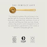 Ancient + Brave Ritual Scoop Gold Finished Stainless Steel Measuring Spoon 5g view 3