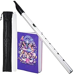 VixxNoxx Irish Tin Whistle in C Key with Music Book
