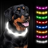 Dynmeow Light up Dog Collar, Flashing LED Dog Collar USB Rechargeable Glow in The Dark, Safety Night Lights for Small Medium 