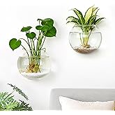 DomeStar 2PCS Wall Flower Vases, Wall Hanging Glass Planter Propagation Station Mounted Vases for Hydroponics Plants Propagation Living Room Office Home Decor