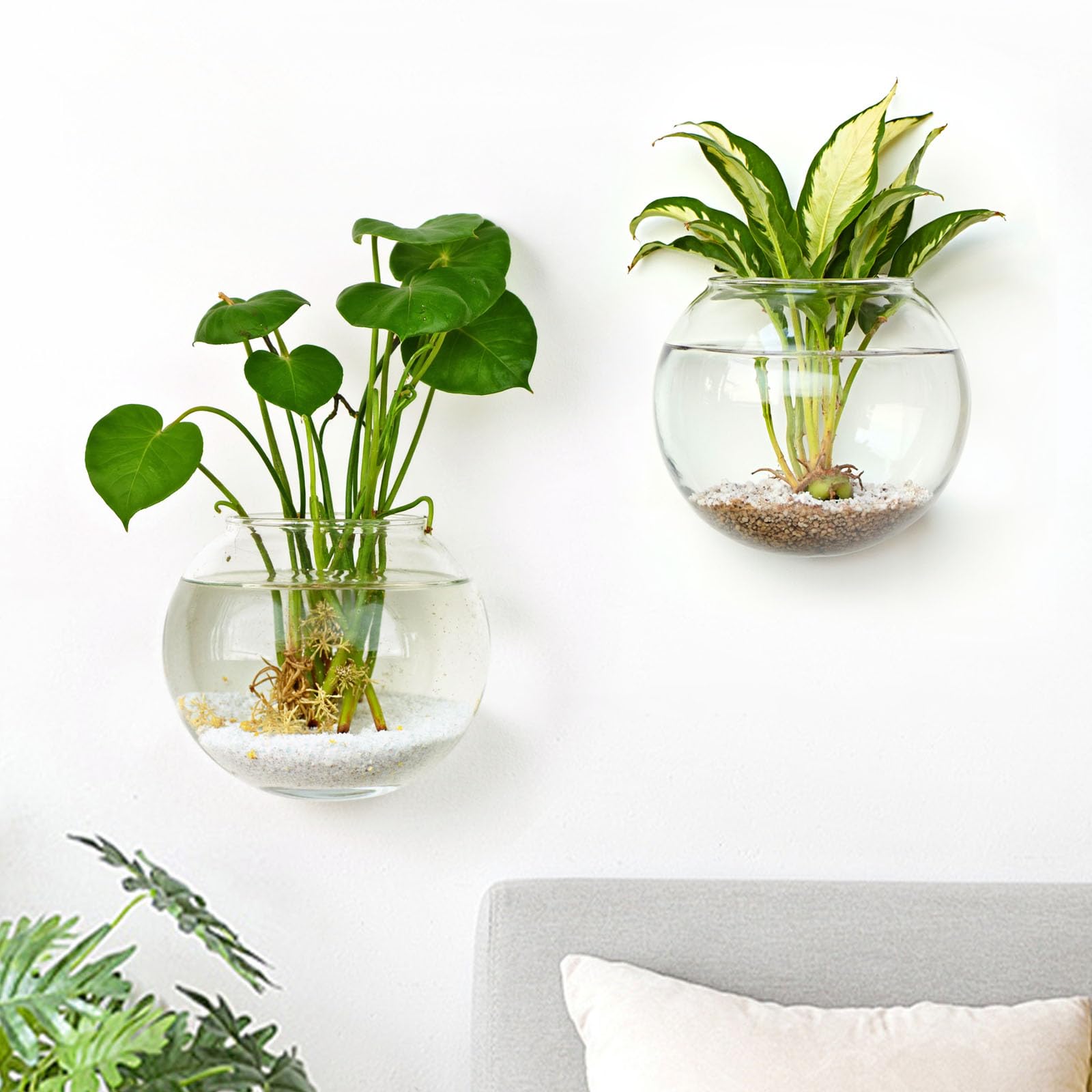 Photo 1 of DomeStar 2PCS Wall Flower Vases, Wall Hanging Glass Planter Propagation Station Mounted Vases for Hydroponics Plants Propagation Living Room Office Home Decor