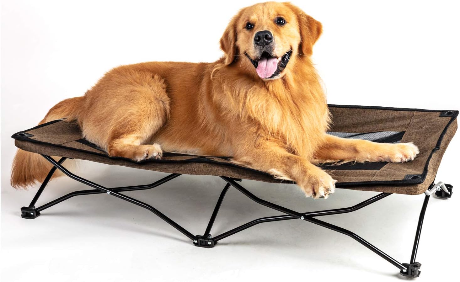 dog travel cot