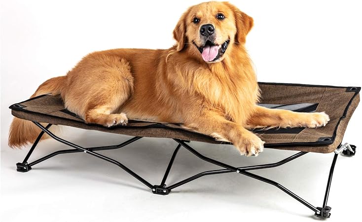 elevated dog bed amazon