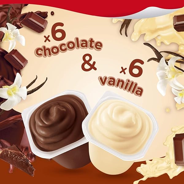 SNACK PACK CHOCOLATE AND VANILLA FLAVORED PUDDING CUPS FAMILY PACK, 12 COUNT PUDDING CUPS (1 PACK)