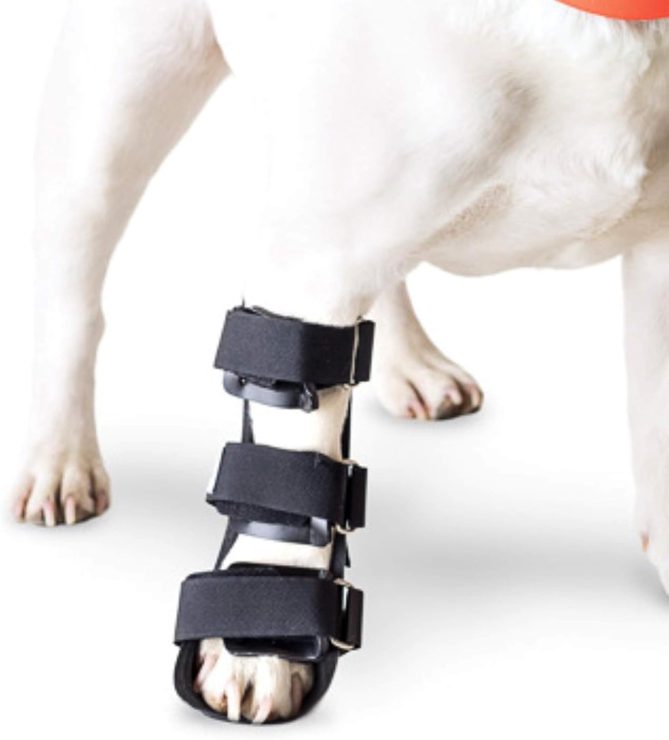 dog boot splint