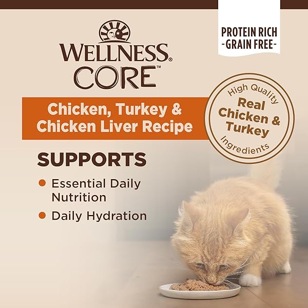 WELLNESS CORE PATE ADULT WET CAT FOOD, NATURAL, PROTEIN-RICH, GRAIN FREE, 3 OUNCE, 12 PACK (CHICKEN, TURKEY & CHICKEN LIVER)