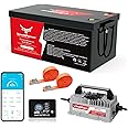 36V 100Ah LiFePO4 Lithium Battery 200A BMS,NewtiPower 10000+ Deep Cycle Lithium Iron Phosphate Battery Great for Golf Cart, RV, Marine and Off Grid Applications