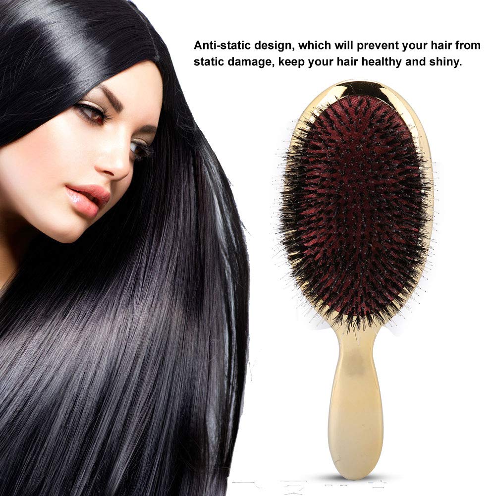 Amazon Com Hair Comb 2 Colors Oval Nylon Hair Massage Comb Anti