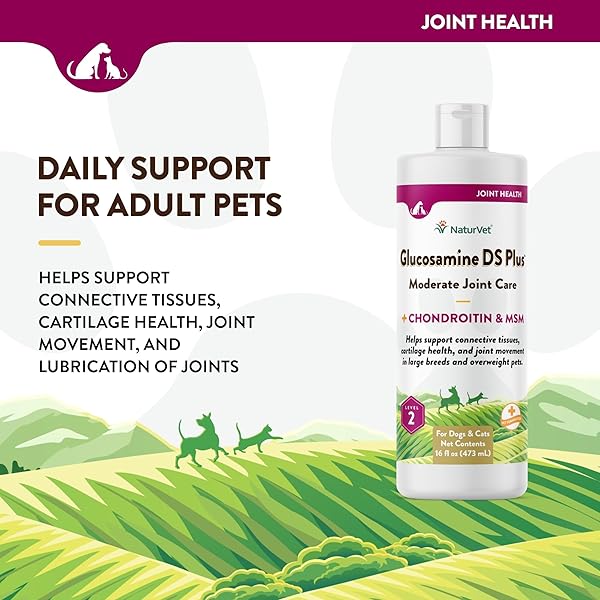 NATURVET GLUCOSAMINE DS PLUS HIP & JOINT SUPPORT LIQUID PET SUPPLEMENT – LEVEL 2 MODERATE CARE FOR DOGS & CATS – INCLUDES GLUCOSAMINE, MSM, CHONDROITIN – 16 OZ