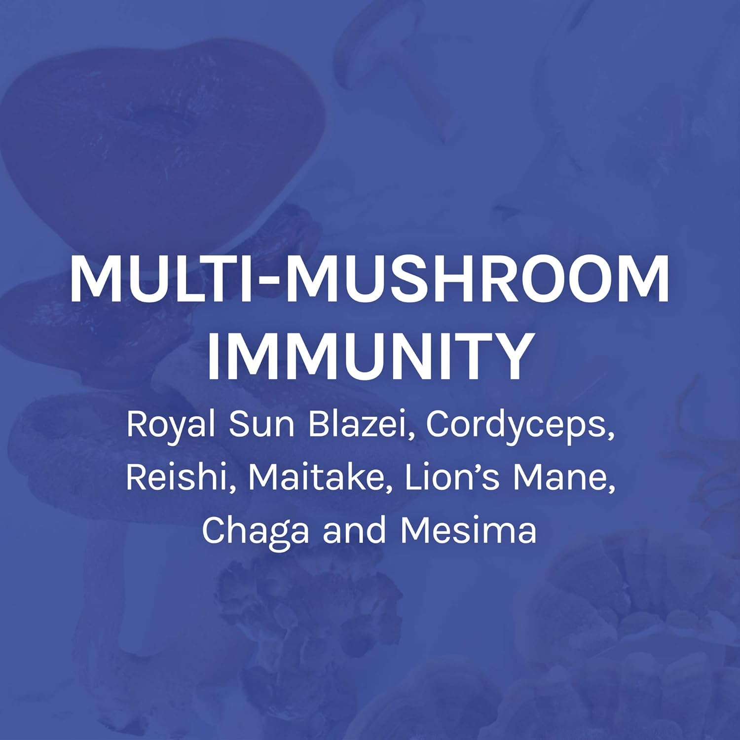 Host Defense, Stamets 7 Capsules, Daily Immune Support, Mushroom Supplement with Lion’s Mane, Reishi, Vegan, Organic, 30 Capsules (15 Servings): Health & Personal Care