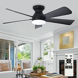 Depuley Modern Ceiling Fan with Light: 42-Inch
