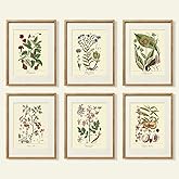YUMKNOW Farmhouse Vintage Botanical Wall Decor - Unframed Set of 6, 11x14, Boho Cottegecore Plant Leaves Room Decor for Bathr