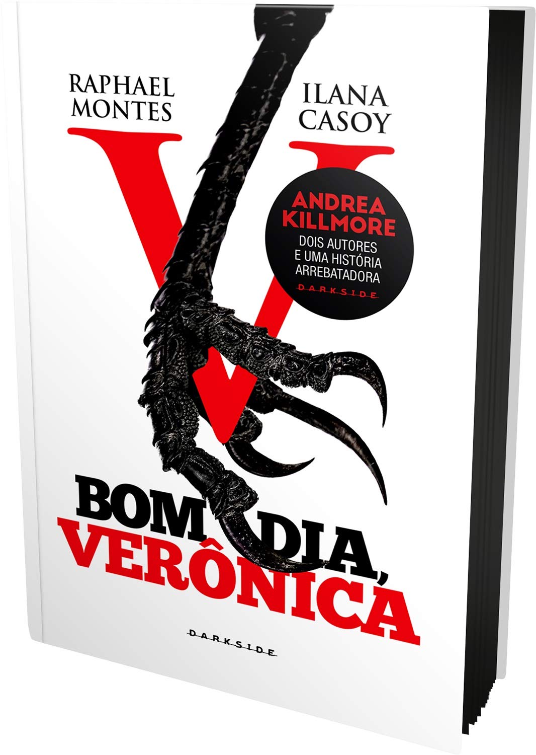 Resultado de imagem para bom dia veronica paginas