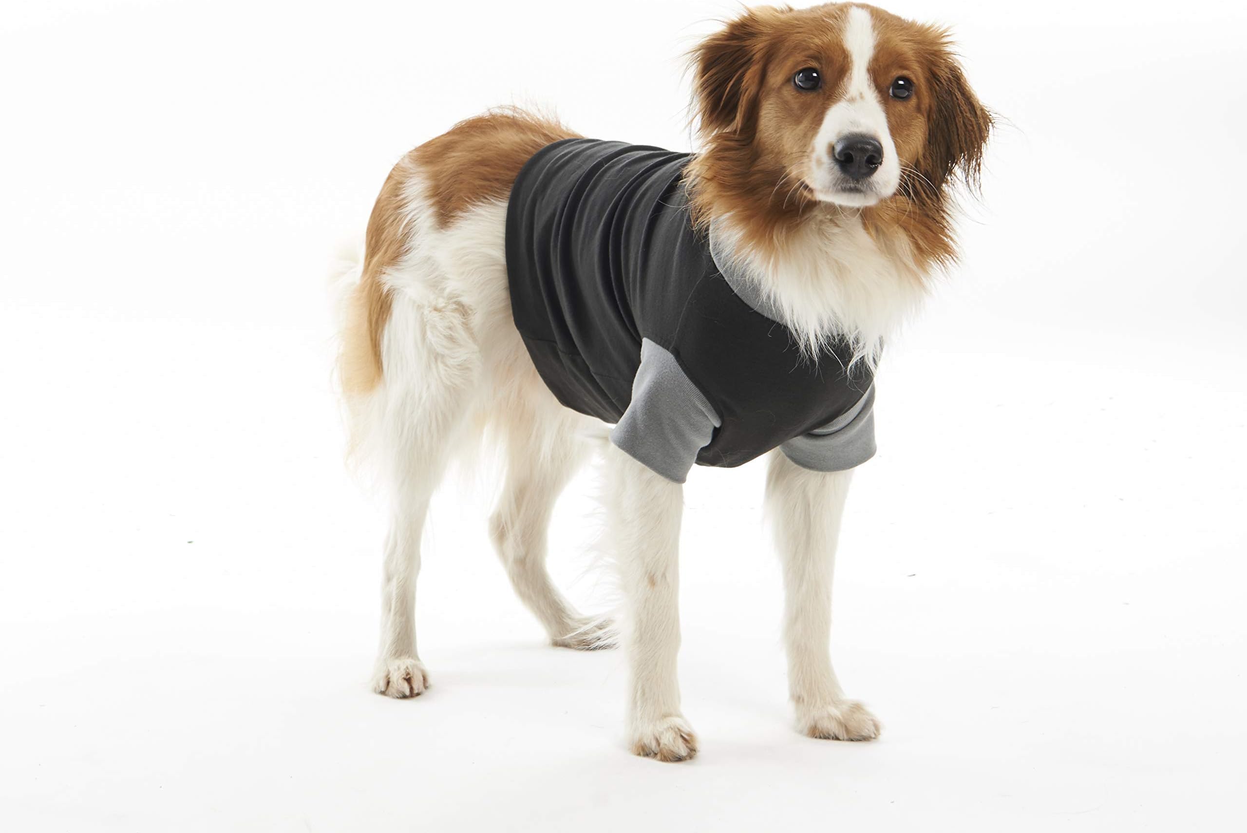 BusterClassic Body Suit for Dogs, X-Small, Black/Grey