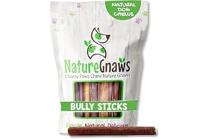 Nature Gnaws Large Bully Sticks for Dogs 5-6" (10 Count) - Thick Long Lasting for Aggressive Chewers and Large Dogs - Natural Beef Dog Chew Bones