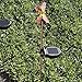 Sunnydaze Outdoor Solar Garden Lights, 6 Pack Solar Powered Stake LED Pathway Lights, Decorative Butterfly Dragonfly Hummingbird, Multi-Color