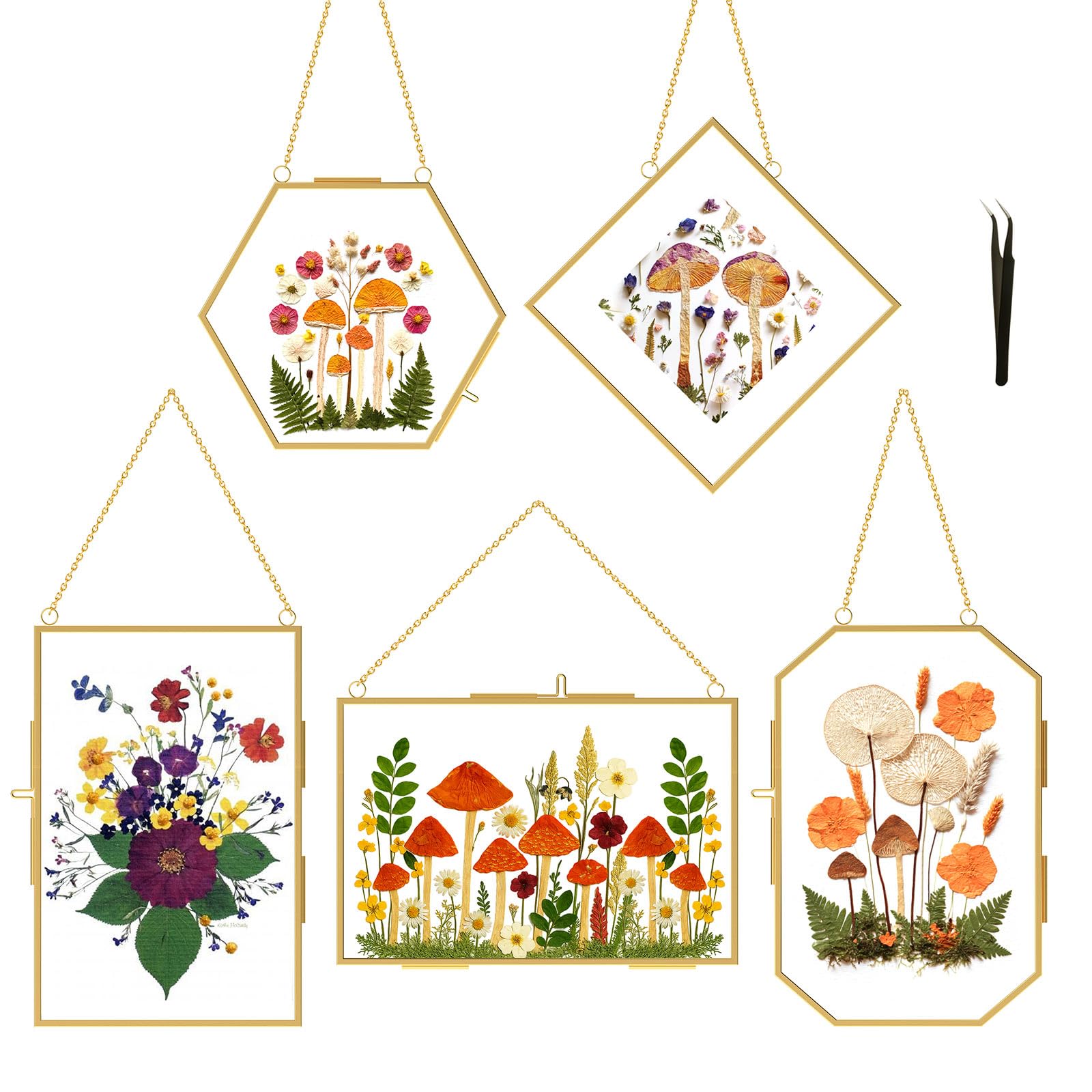 Photo 1 of BABUFINE Pressed Flower Frames with Tweezers, Wall Hanging Double Glass Picture Frames with Chain for Dried Flowers Plants Wall Decor,Only Frame (Gold-5PCS)