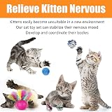 Speedy Panther 22 Pcs Cat Toys Interactive Kit Indoor Cat Tunnel Mouse Ball Set view 5