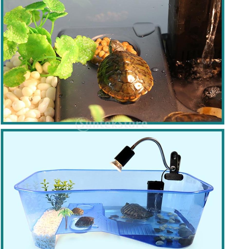 Amazon Baoblaze 亀箱 テラピンタートルタンク プラスチック 爬虫類テラリウム 全3色選べる ブラック Baoblaze 飼育ケース ケージ 通販 Amazon Baoblaze 亀箱 テラピンタートルタンク プラスチック 爬虫類テラリウム 全3色選べる ブラック Baoblaze 飼育ケース ケージ 通販