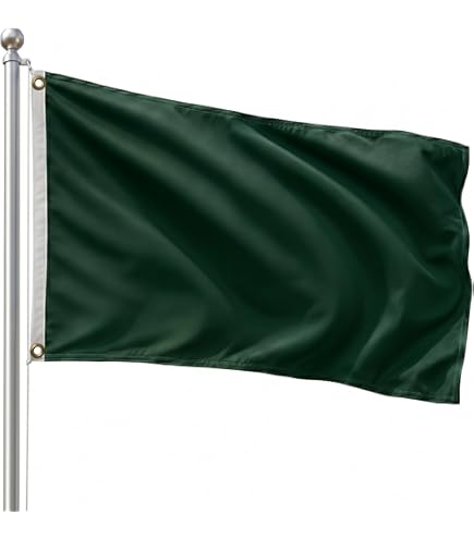 Amazon.com : G128 Solid Dark Green Color Flag | 2x3 Ft | LiteWeave