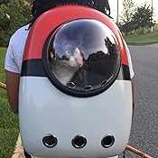 pokeball pet carrier