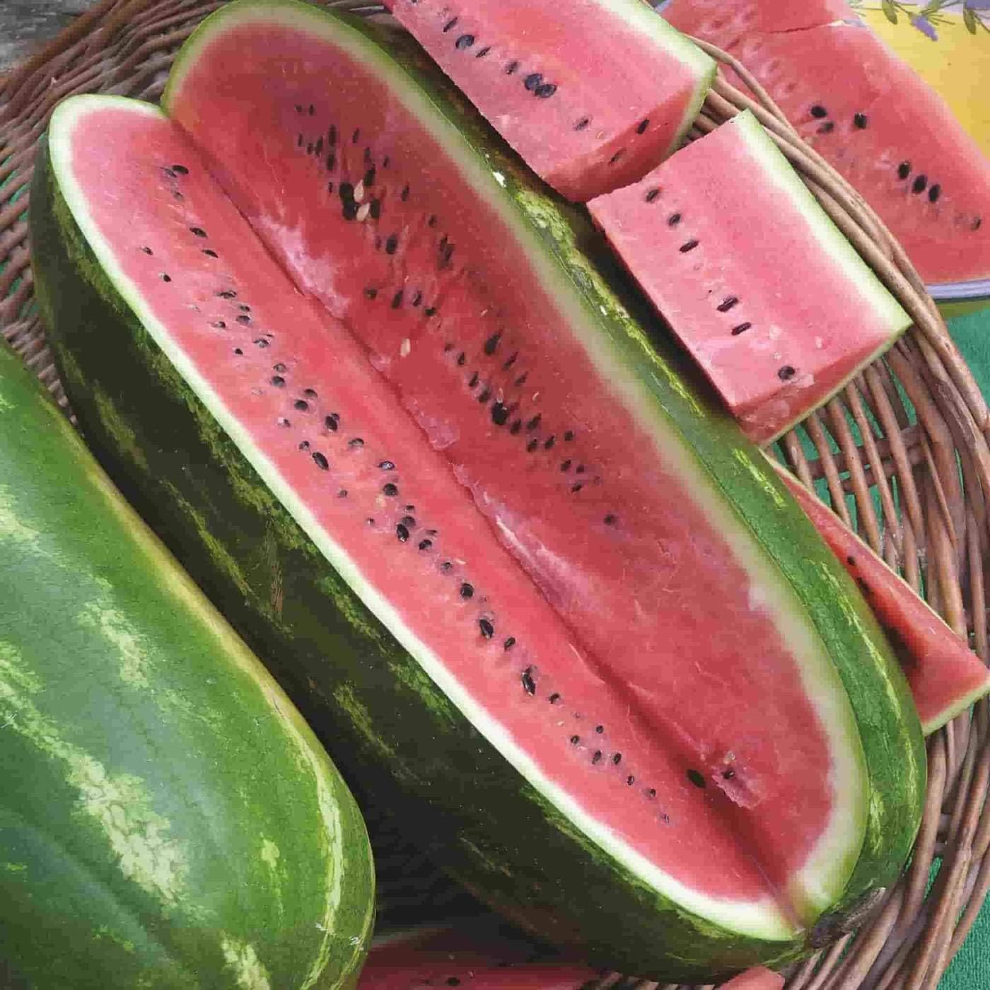 Amazon Com Jubilee Sweet Watermelon Seeds 75 Heirloom Seeds Per Packet Non Gmo Seeds Garden Outdoor