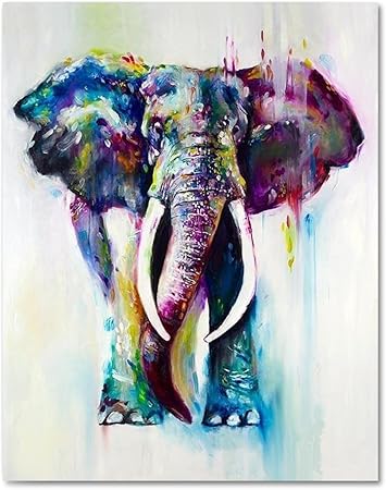 Raybre Art 50 X 60 Cm Impression Sur Toile Tableau Cartoon Animals Elephant Couleurs Abstractos Moderne Peinture A L Huile Pour Mural Art Decoration Maison Chambre Enfant Sans Cadre U Racks Amazon Fr Cuisine