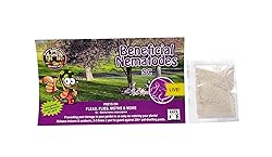 Bug Sales Beneficial Nematodes Sc-Steinernema