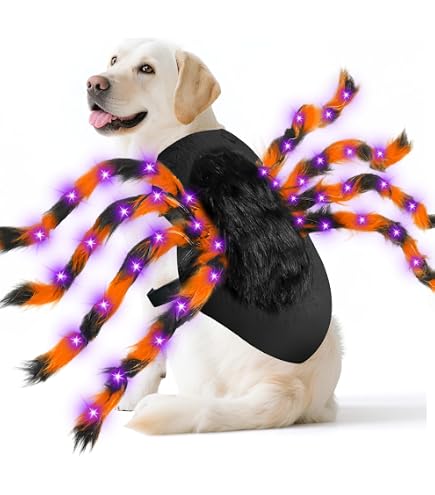 Amazon.com : Zack & Zoey Wizard Saddle Dog Costume, X-Large : Pet