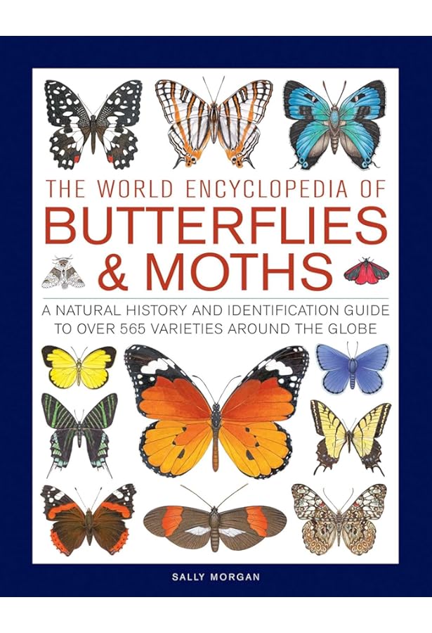 Butterflies (Mini Encyclopedia): Photopoulos, Julianna