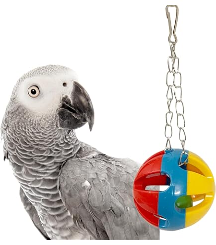 Parrot Pacifier Bird Foraging Toy Ball Medium Parrot Parrot Toy Ball With Bell ...