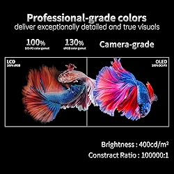 INNOCN Portable Monitor 13.3" OLED 1080P