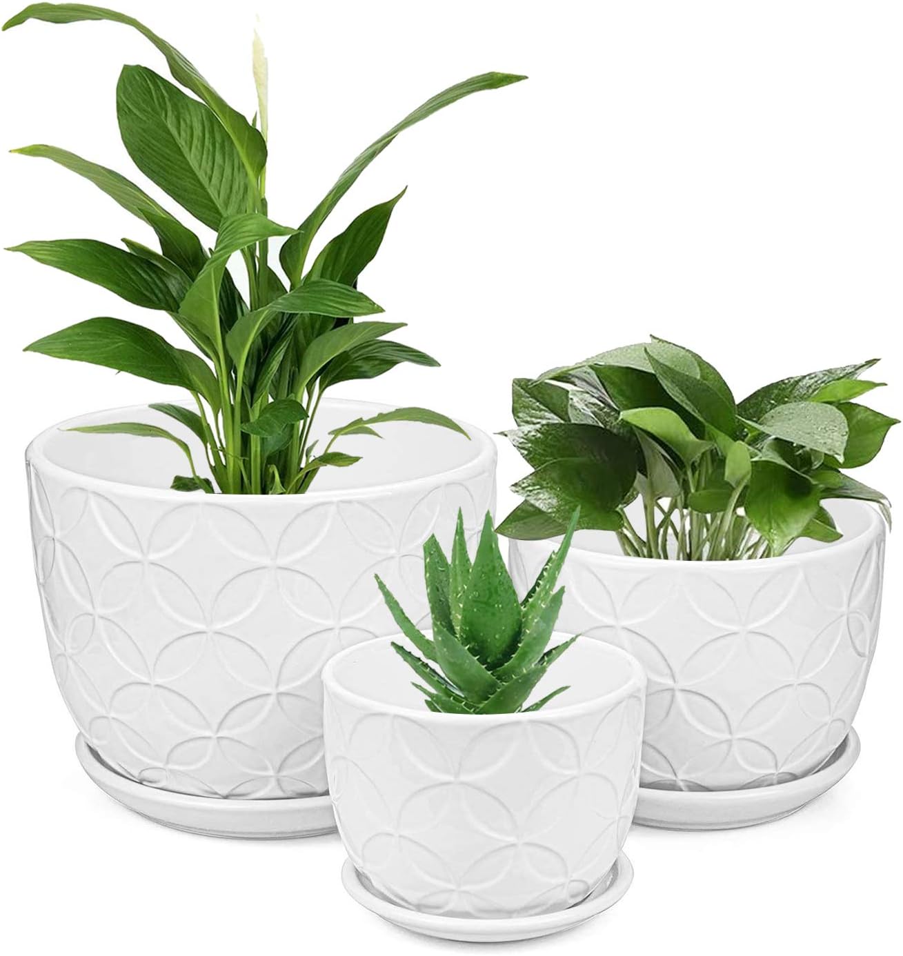 Plant Pots, Brajttt Flower Pots Planters Set of 3,Modern Decorative Succulent Pot Gardening Pot with Drainage Hole for Indoor Plants Flowers Herbs