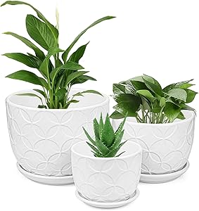 Plant Pots, Brajttt Flower Pots Planters Set of 3,Modern Decorative Succulent Pot Gardening Pot with Drainage Hole for Indoor Plants Flowers Herbs