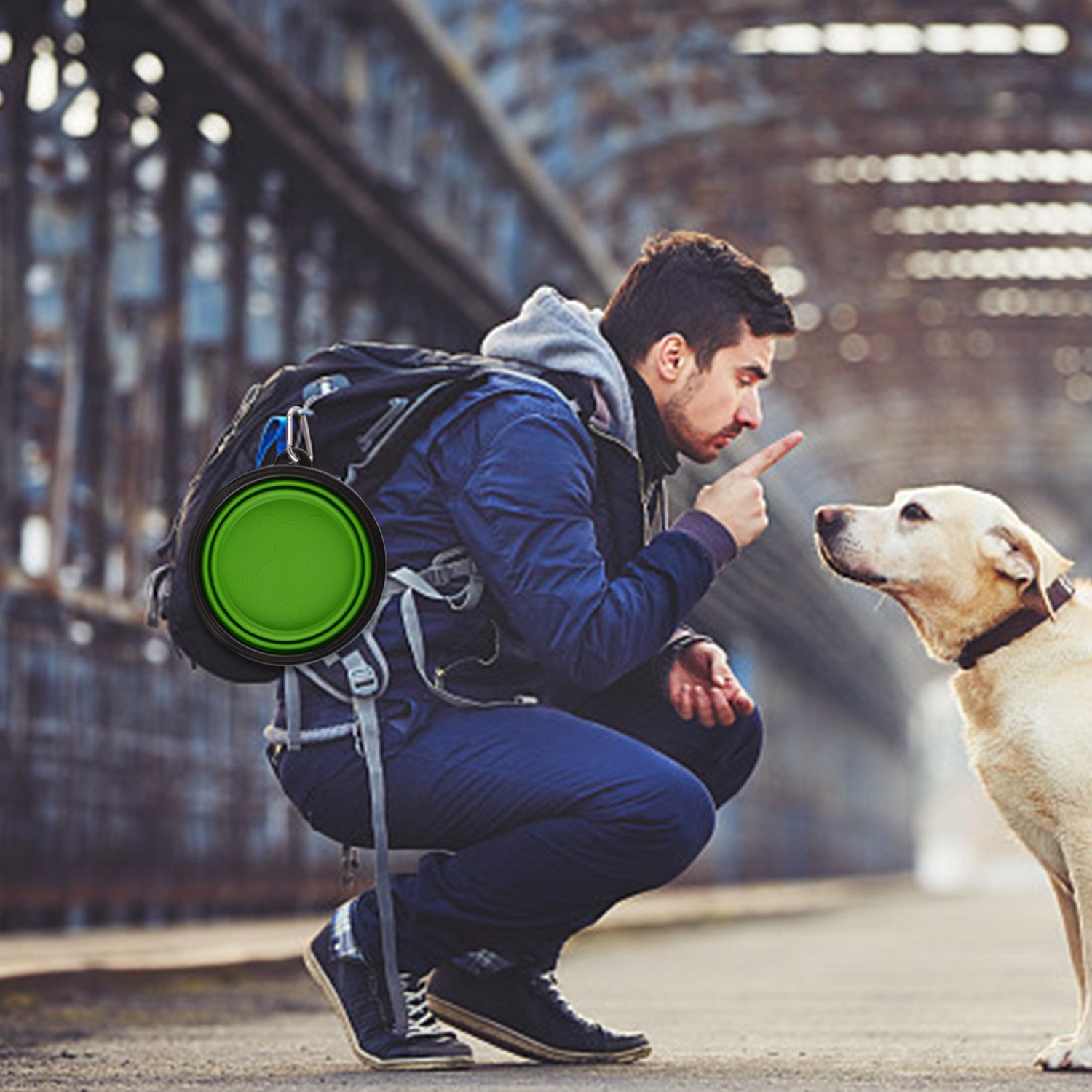 Guardians Large Collapsible Dog Bowls, 34oz Portable Foldable Water Bowls Food Dishes with Carabiner Clip for Travel, 2 Pack (Purple+Green)