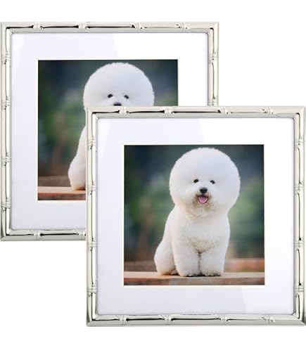 Amazon.com - Isaac Jacobs 6x6 (Matted 4x4) Silver Metal Picture