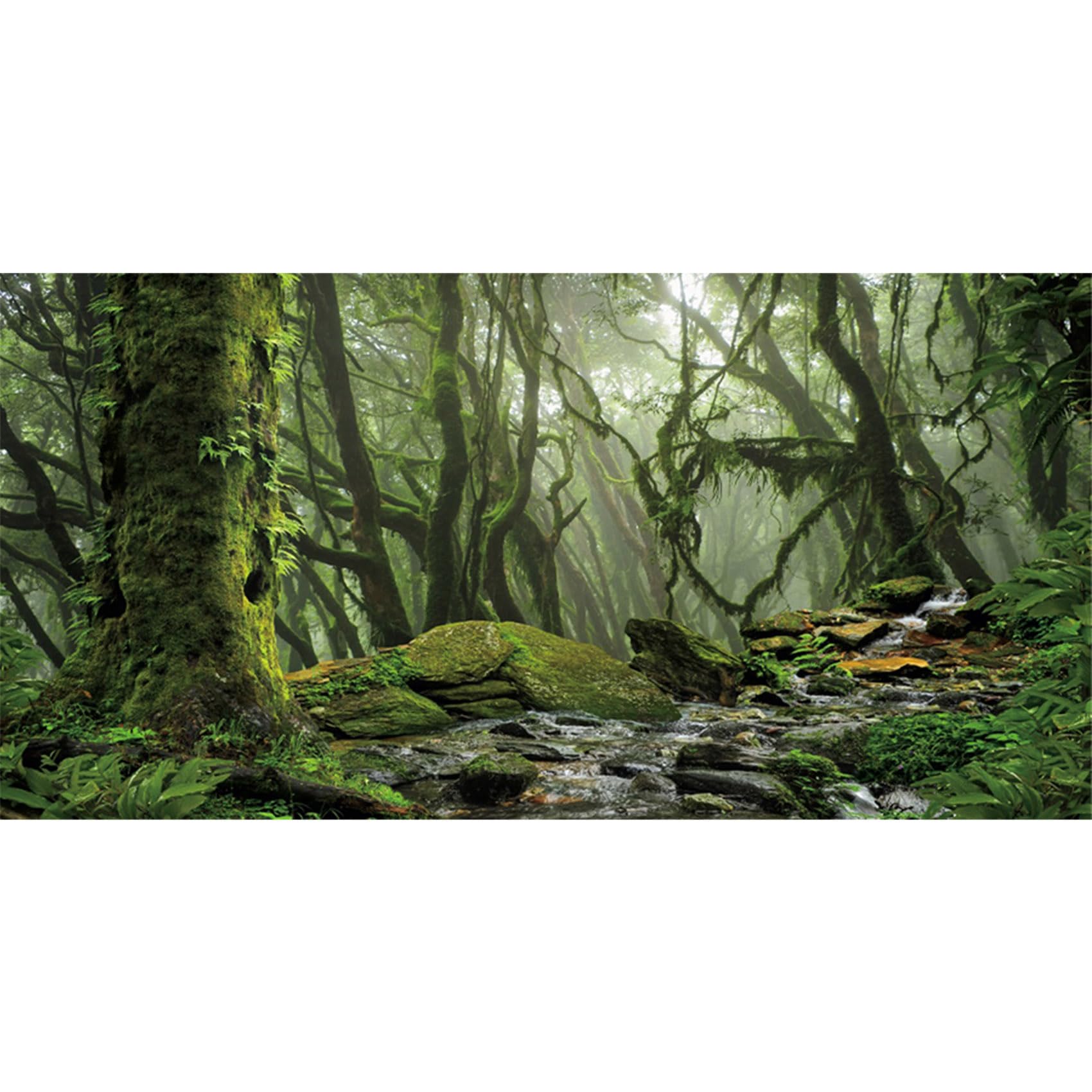 MIRRORANG 91x50cm Foggy Forest Terrarium Background Stream Green Huge Tree Reptile Habitat Background Tropical Rainforest Aquarium Background Vinyl