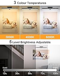 WILLED 5W Picture Lights, 3 Colors Rechargeable