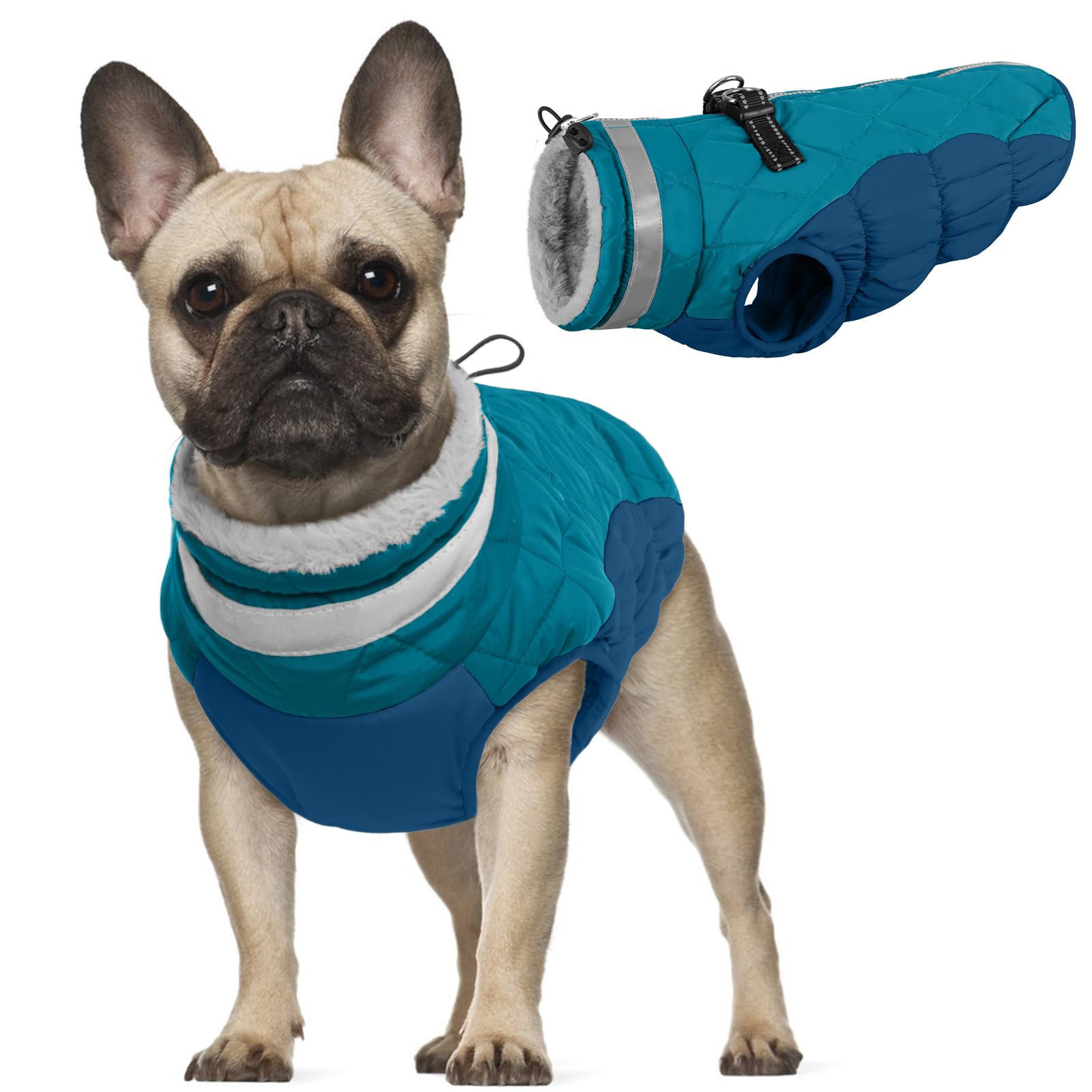 Waterproof Dog Coat, Windproof Warm Coat Winter Jacket Small Dog Cotton Coat Warm Outfit Frenchie Winter Coat Keeps Pets Warm Especially in Cold Temperatures(Dark green, S)