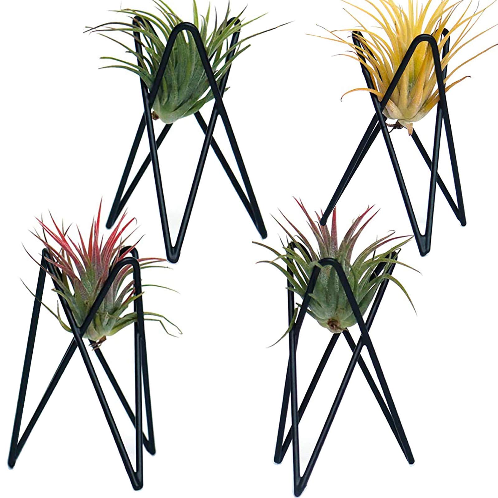 Pack of 4 Air Plant Holder Tillandsia Base, Modern Geometric Metal Air Plant Stand Airplant Display Rack, Tabletop Big Streptophylla Plant Display Table Hand for Home Office Decoration Supplies