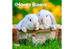 Honey Bunny | 2026 7 x 14 Inch (Hanging) Monthly Mini Wall Calendar | BrownTrout | Domestic Small Cute Animals