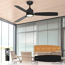 TALOYA 52 Inch Ceiling Fans with Lights Led Remote