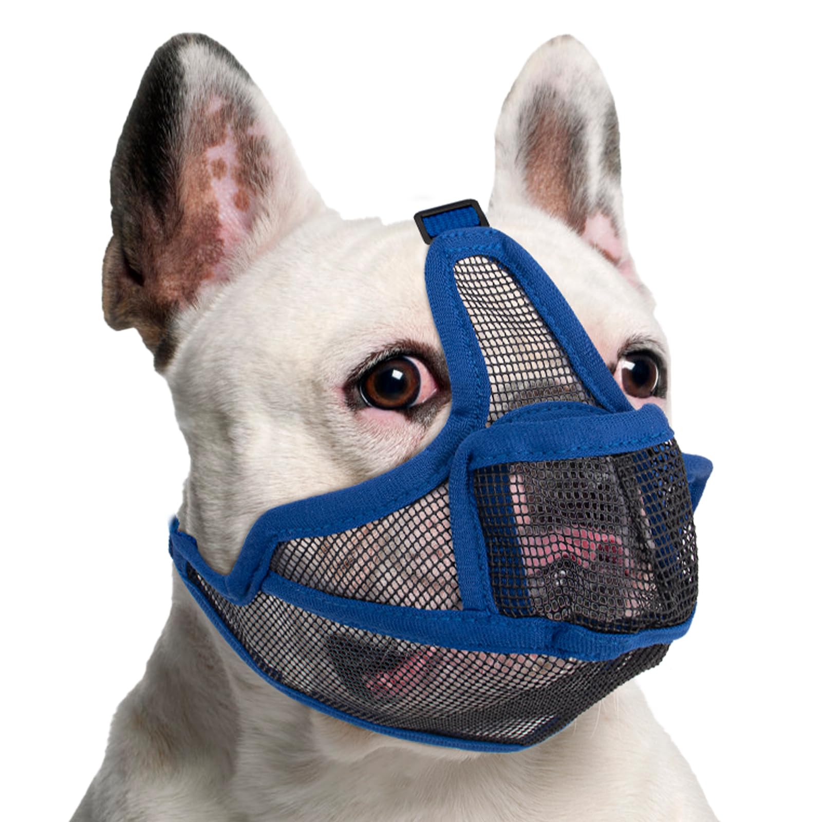 Photo 1 of Coppthinktu Short Snout Dog Muzzle, Breathable Mesh French Bulldog Muzzle Full Pant Muzzles for Pitbull, Soft Flat Face Dog Muzzles for Shih Tzu Pug Prevent Biting Allow Pant & Drink (Blue M)